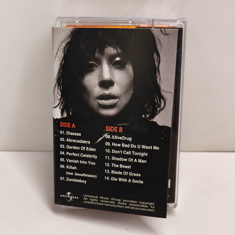 Neue Pop Lady Gaga The Fame Mu – Audio Music Recorder Bewertung und Preis